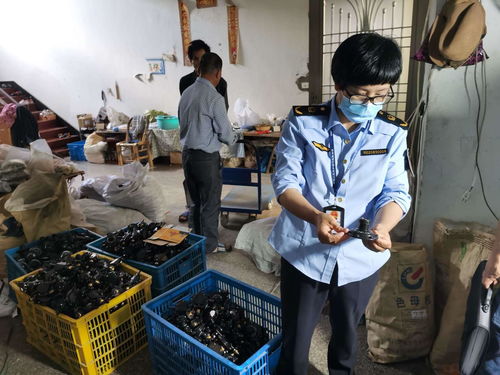浙江發(fā)布打擊侵權(quán)假冒商品典型案例，化妝品批發(fā)領(lǐng)域成重點(diǎn)